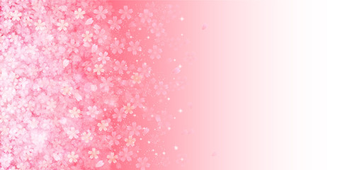 Fototapeta premium 桜 花 背景