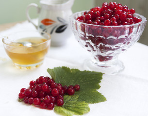 Berries on the table