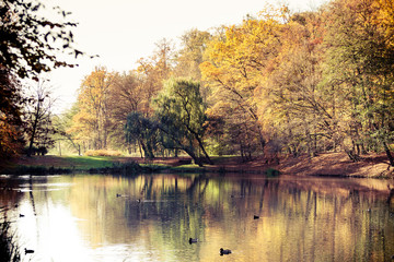 Fototapeta premium Autumn park with pond. Fall landscape.