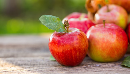 Organic apples in basket in summer grass. Fresh apples in nature