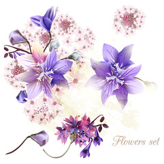 Collection of tender flowers watercolor style