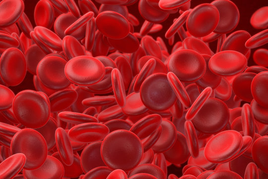 3D Human Blood Red Corpuscles. Microscopic Cells Illustration.