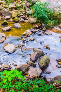 Water Flowing in Natural Park