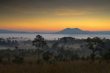 Beautiful fresh viewpoint Tung Salang Luang, Thailand