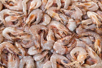 Prawn background