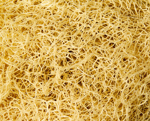 Loofah Body Scrub