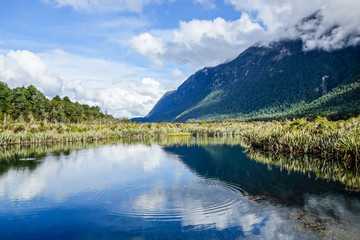 Fototapeta na wymiar Mirror Lakes at Milford Sound National Park
