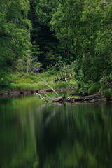 志賀高原　長池