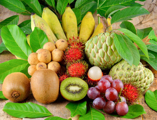 Tropical fruits collection.