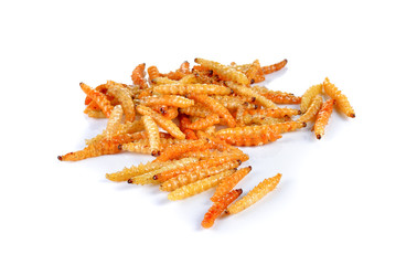 Fried bamboo worms
