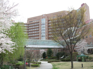 桜が咲く春の国立成育医療研究センター　National Center for Child Health and Development