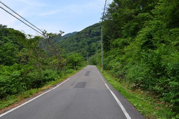初夏の山岳道路／山形県庄内地方の山岳道路を撮影した写真です。