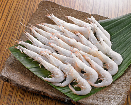 白海老 Images Browse 85 Stock Photos Vectors And Video Adobe Stock