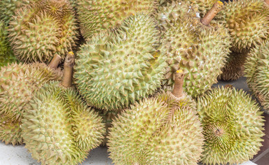 Naklejka na ściany i meble Group of durian fruits in the market for sale.They are fruit that smelly with some people do not like this fruits.