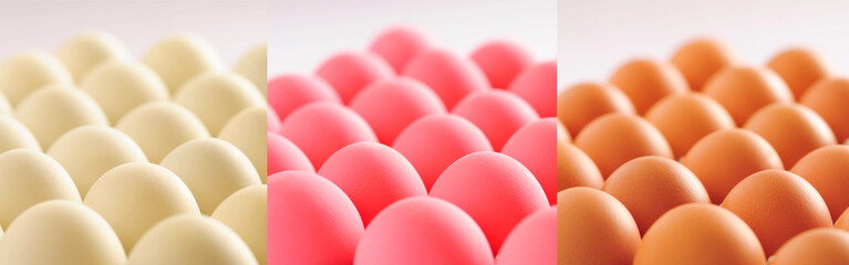 duck egg and Salted egg and Chicken egg