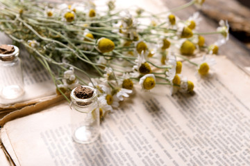 Old book with dry flowers close up