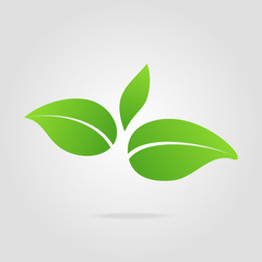 Eco icon green leaf