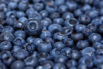 fresh blueberries