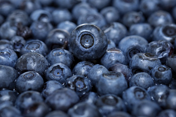 fresh blueberries