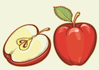 Red fresh apples.Vector illustration isolated for design