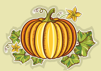 Pumpkin yellow fresh illustration isolated for design