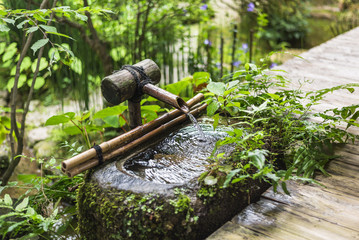 京都　宝泉院　つくばい