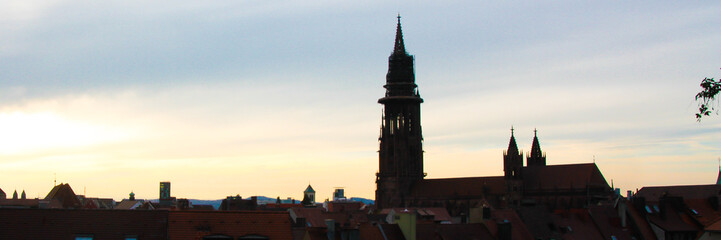 Obraz premium Panorama Freiburger Münster