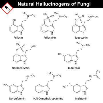 Natural tryptamine hallucinogens