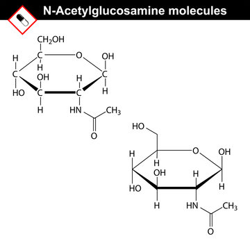 N-Acetylglucosamine NAG molecule
