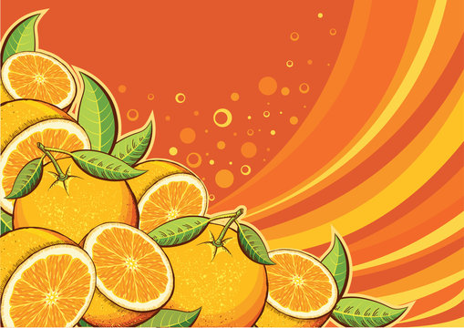 Orange fruits background.Vector illustration