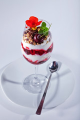 Dessert Joghurt espuma mit Beerenragout und Nusscrunchy Nahaufnahme