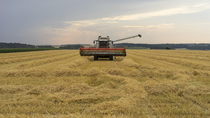 Grain harvester combine work in Bavaria field