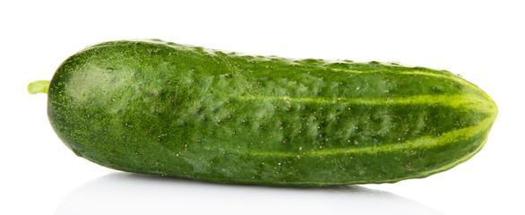 Ripe cucumber isolated on white