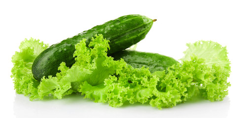 Ripe cucumbers with lettuce isolated on white