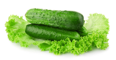 Ripe cucumbers with lettuce isolated on white