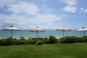 Row of beach umbrellas with sea background