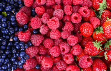 Mix of different berries as background