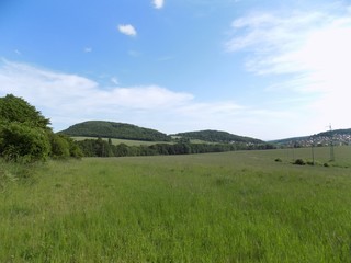 Obraz premium Meadow, forest and sky