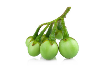 turkey berry isolated in white background