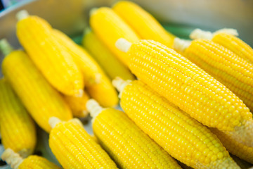 boiled sweet corn for sell in the market