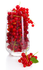 Fresh red currants in glass isolated on white
