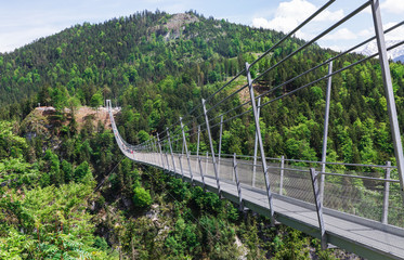 suspension bridge and castle