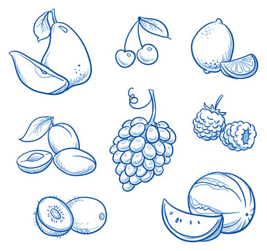 Set of different fruits: pear, melon, grape, kiwi, lemon, cherry, plum, raspberry, Hand drawn doodle vector illustration.