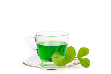 Medicinal thankuni leaves of Indian subcontinent with extract