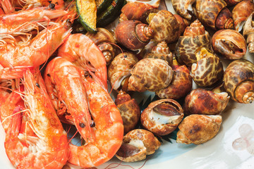 Shrimps and spotted babylon