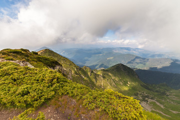 Misty dreamy landscape.
