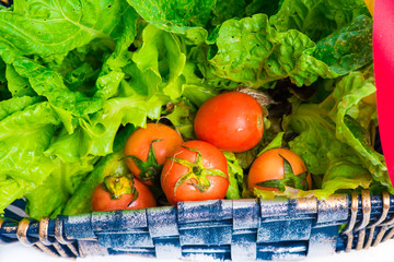 Organic vegetables in the wicker basket