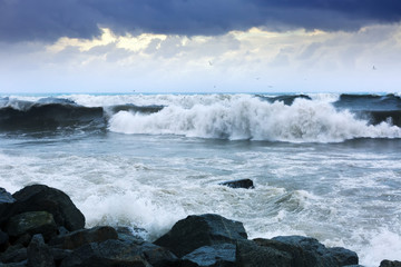  sea wave during storm in windy day