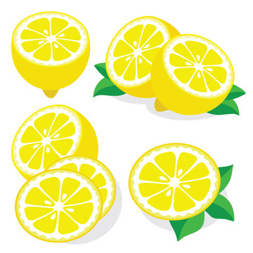 Lemon vector illustrations