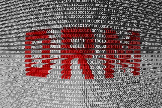 Technical means of copyright protection is presented in the form of binary code